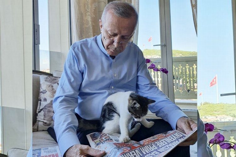 دست خالی اردوغان در بازگشت از سفر آمریکا