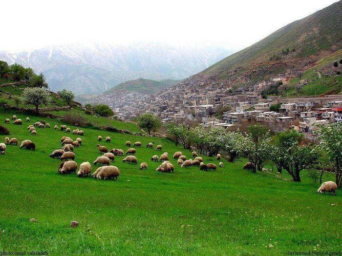روستاها محور اصلي رشد، پيشرفت توسعه اقتصادي هستند