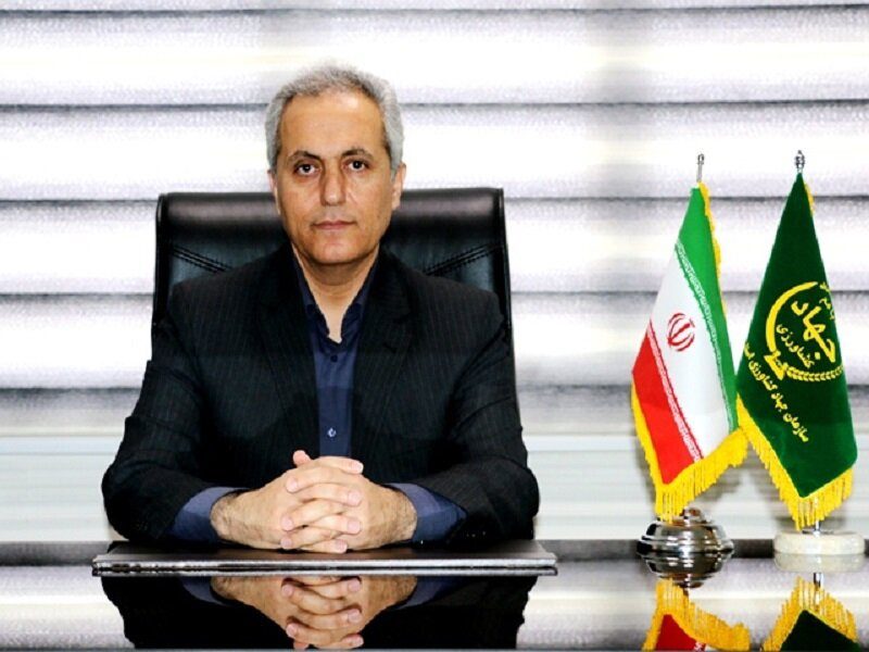 برخورد با متخلفان  عرضه مرغ در کردستان/تولید مرغ 8 درصد افزایش یافت