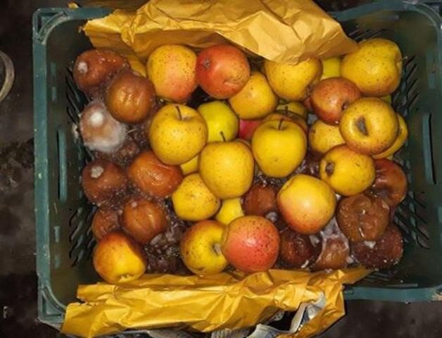 اتحاد کارخانه داران و صنایع تبدیلی آذربایجان غربی  به ضرر کشاورزان!