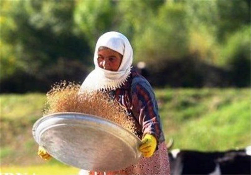 تشکیل 164 صندوق خرد زنان روستایی در آذربایجان غربی