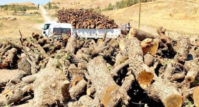 جنگل زدایی نیروهای نظامی ترکیه در کردستان عراق و ترکیه