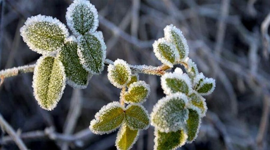 کاهش ٨ درجه ایی دمای هوا در آذربایجان غربی