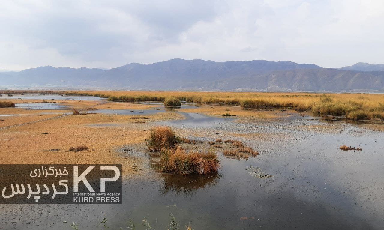 محیط زیست توپ کم کاری خود در بحران زریوار را به زمین دیگر دستگاه ها انداخت
