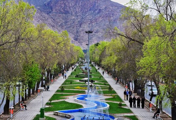 درختان سرو  بلوار تاق بستان سمپاشی می شوند