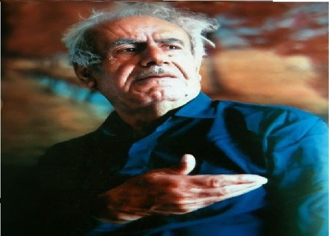 نرم افزار «هه ژارانه» در مهاباد منتشر شد