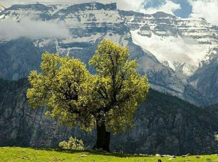 «دره خرس ها» یادگاری زیست محیطی از دوران‌های گذشته در کبیرکوه ایلام
