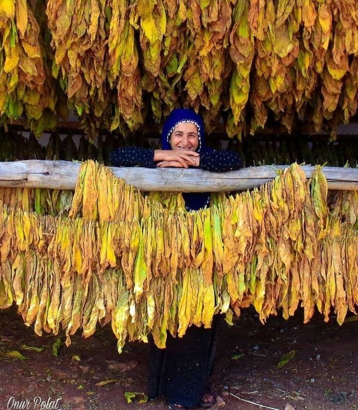 از ترکیه چه خبر؟ ( 23 آبان 1400)