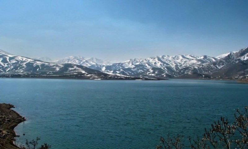 سوف گوشت خوار؛ ارمغان نامدیریتی  ها  در سد مهاباد و« شهر چای»!
