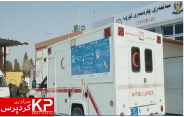 446 تووشبووی نوێ و 17 حاڵەتی مردن بە کۆرۆنا لە هەرێمی کوردستان تۆمار کرا