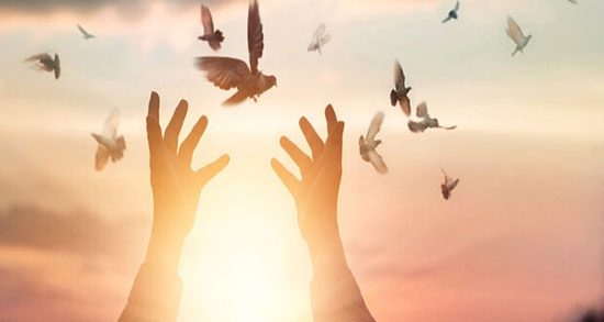 آغاز پویش رسانه ای آزاد سازی زندانیان جرایم مالی و غیر عمد در آذربایجان غربی