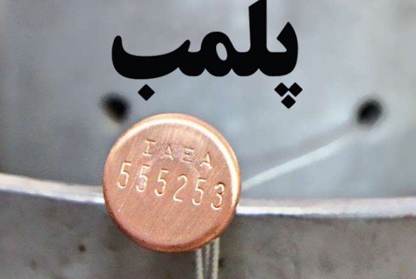 معرفی ۲۱۶ مورد تخلف به مراجع قضایی در حوزه فرآورده‌های دامی در ایلام