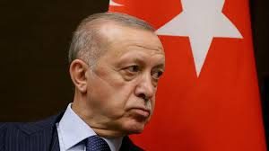 Turkish opposition chorus grows in response to plunging lira