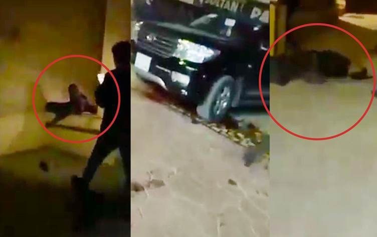 مرگ یکی دیگر از همراهان فرماندە نظامی نزدیک به لاهور شیخ جنگی
