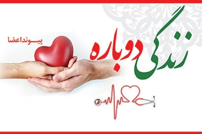 اهدای عضو قهرمان رزمی‌کار سقزی به ۶ نفر زندگی بخشید