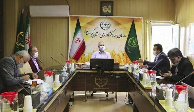 کشت گیاهان دارویی یک ساله در قالب طرح جهش تولید کشت می شود