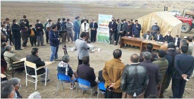 برگزاری روز مزرعه «کشت مکانیزه نخود پاییزه» در ثلاث باباجانی