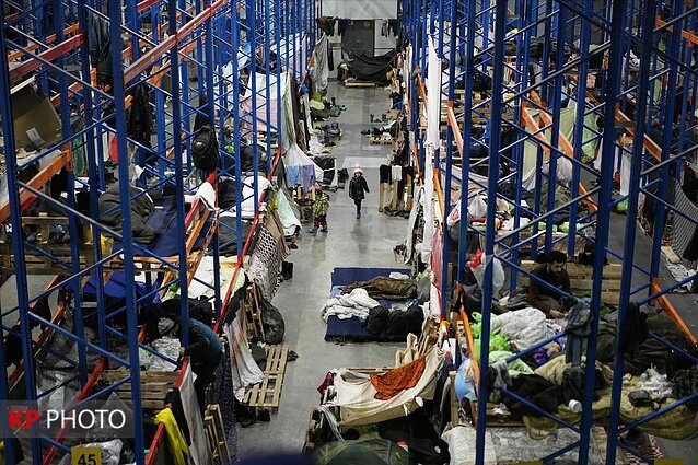 70 درصد مهاجران در لیتوانی کردهای عراق هستند