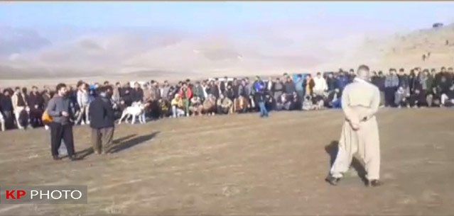 جنگ اندازی دوباره سگ ها در مهاباد و سکوت مسئولان!