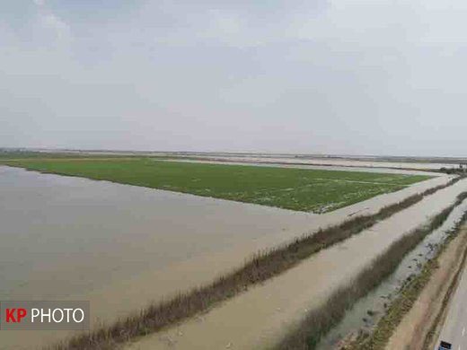 خسارت بالای سیل به کشاورزان