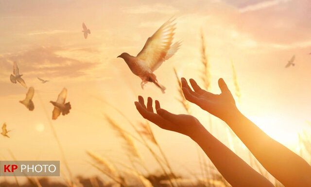 بخشش قاتل بعد از تحمل ١٠ سال در ارومیه