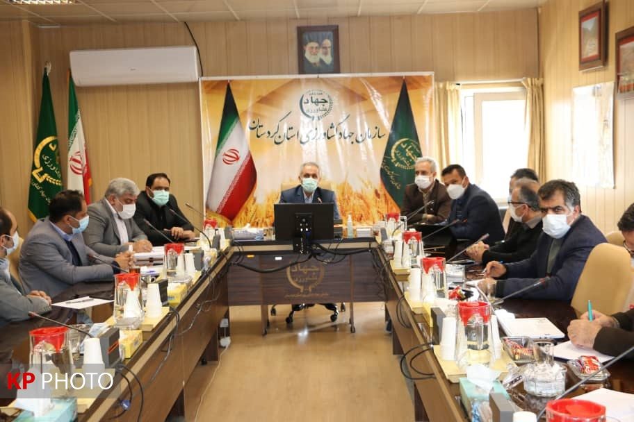 16 هزار هکتار کشت قراردادی گندم در کردستان اجرا شد