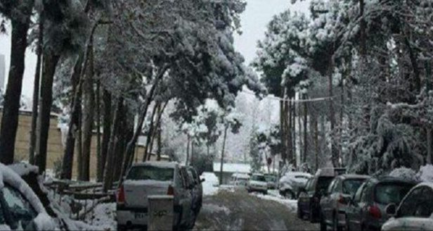 بارش برف مدارس پاوه را تعطیل کرد