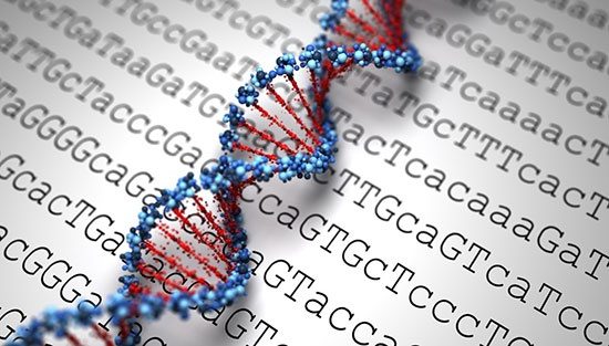 قصه معاودین ساکن ایلام به DNA رسید / علی صفری