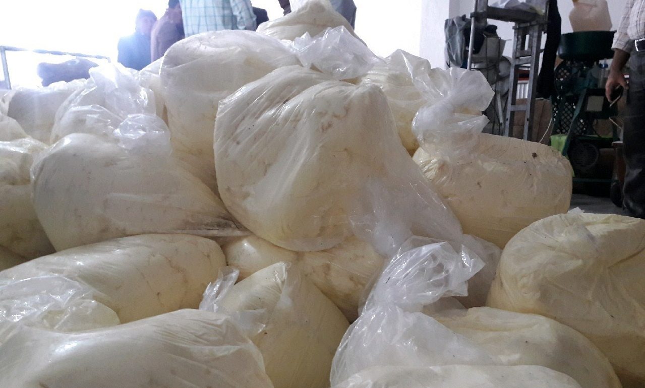 کشف یک تن روغن حیوانی غیربهداشتی در جوانرود