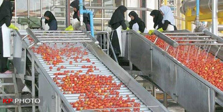 صنایع تبدیلی آذربایجان غربی از تولید صرف کنستانتره خارج شود