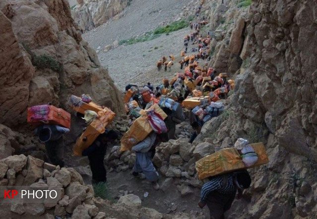 طرح «کولبری و تجارت مرزی» مرهمی برای تسکین درد کولبران