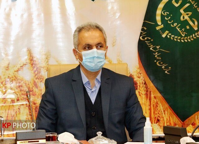 سامانه پایش و رصد تولید و توزیع مرغ در کردستان راه اندازی می شود