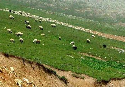 تشکیل 649 پرونده برای تخریب کنندگان مراتع در دیواندره