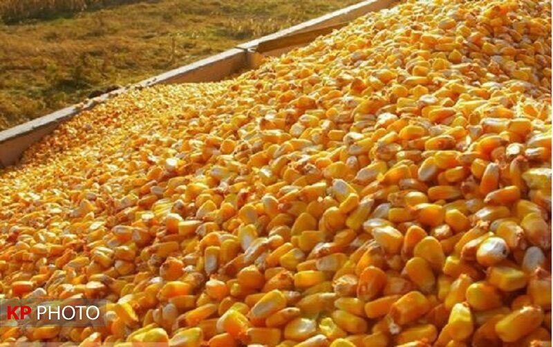 توقیف کامیون حامل 30 تن ذرت قاچاق در میاندوآب