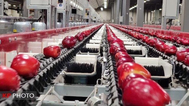 مقررات بانکی برای راه‌اندازی واحدهای سورتینگ در آذربایجان غربی تسهیل شود