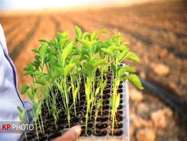 تهدید کمبود منابع آبی در آذربایجان غربی؛ الگوی کشت باید تغییر کند