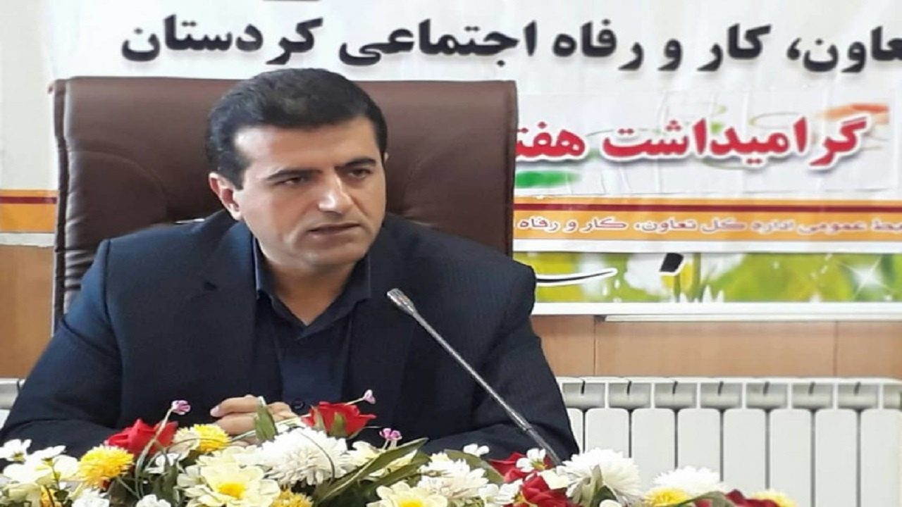 480 میلیارد ریال تسهیلات به بخش مشاغل خانگی در کردستان پرداخت می شود