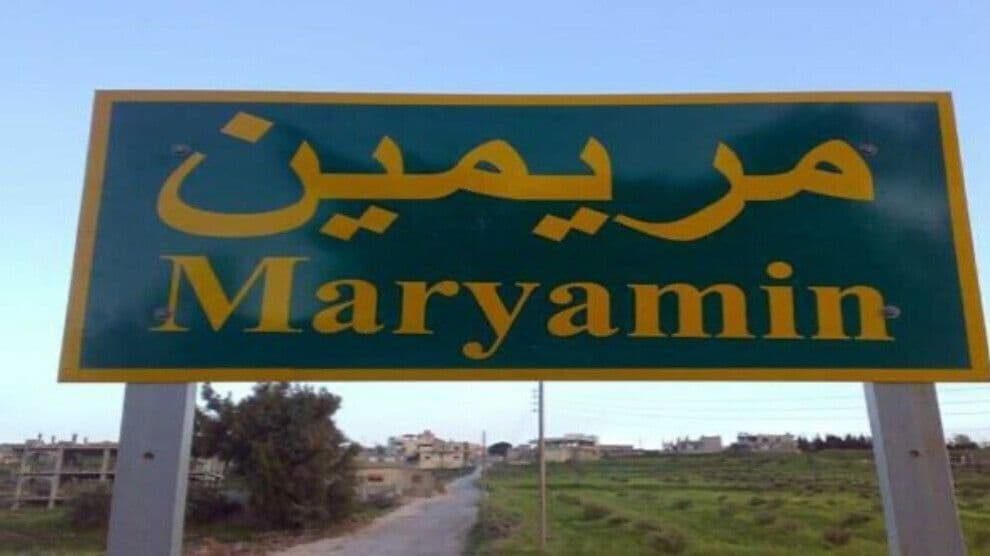 قطع درختان زیتون در مریمین عفرین توسط نیروهای نظامی ترکیه