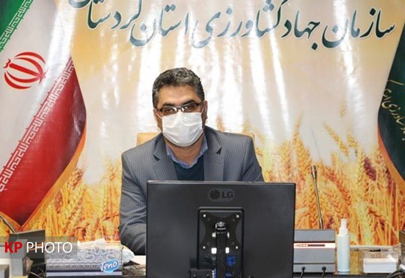 کالاهای اساسی از طریق فروشگاه‌های معتبر  در کردستان توزیع می‌شود
