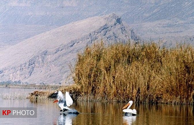 حق آبه نیامد؛ باران تالاب «قوپی بابا علی» را احیا کرد