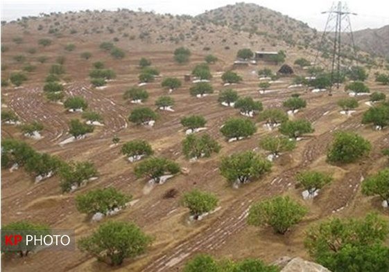 کانون های ریزگرد دریاچه ارومیه تثبیت شدند