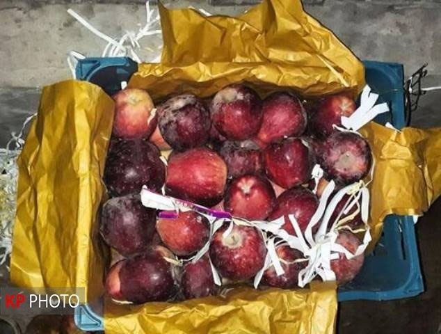 سردخانه های آذربایجان غربی مملو از سیب/ صادرات هوایی تنها یک شعار بود!
