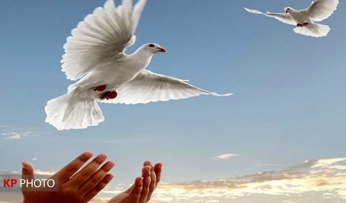 محکوم به قصاص نفس در شهرستان قروه به زندگی بازگشت