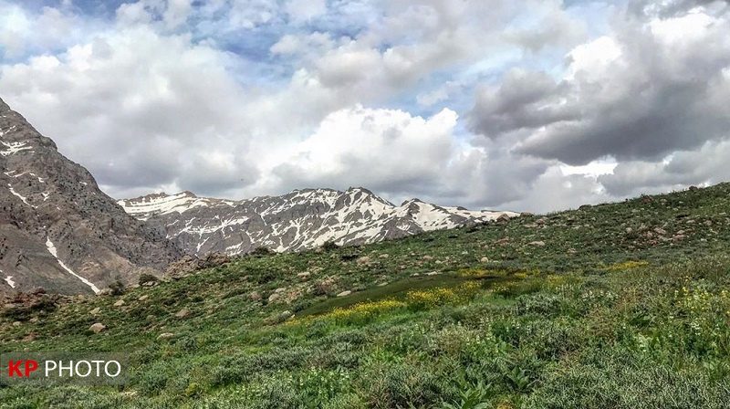 شناسایی بالغ بر ٣٦ هزار هکتار ذخیره‌گاه مرتعی و جنگلی در مهاباد