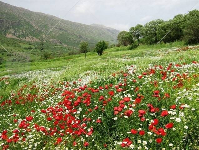 بهار را پاس بداریم