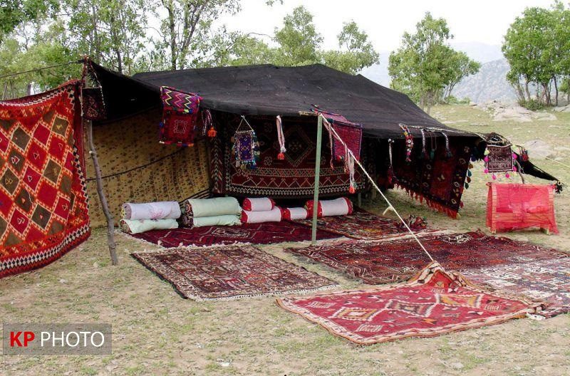 بر پایی سیاه چادرهای عشایری آذربایجان غربی در نوروز
