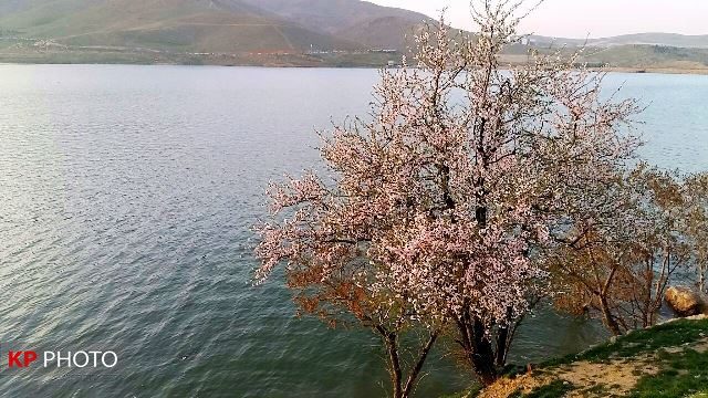 افزایش دما و گرمای زودرس در مهاباد