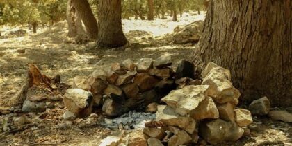 «دالاو» منطقه‌ی بی‌پناه! / مهدی کاکاخانی*