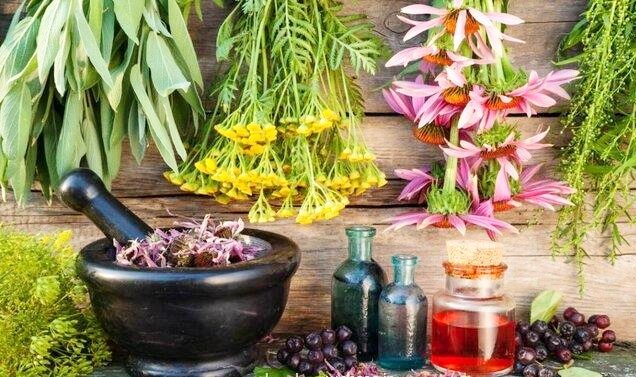 ۴ هزار هکتار از مزارع کرمانشاه ،زیر کشت گیاهان دارویی رفته است