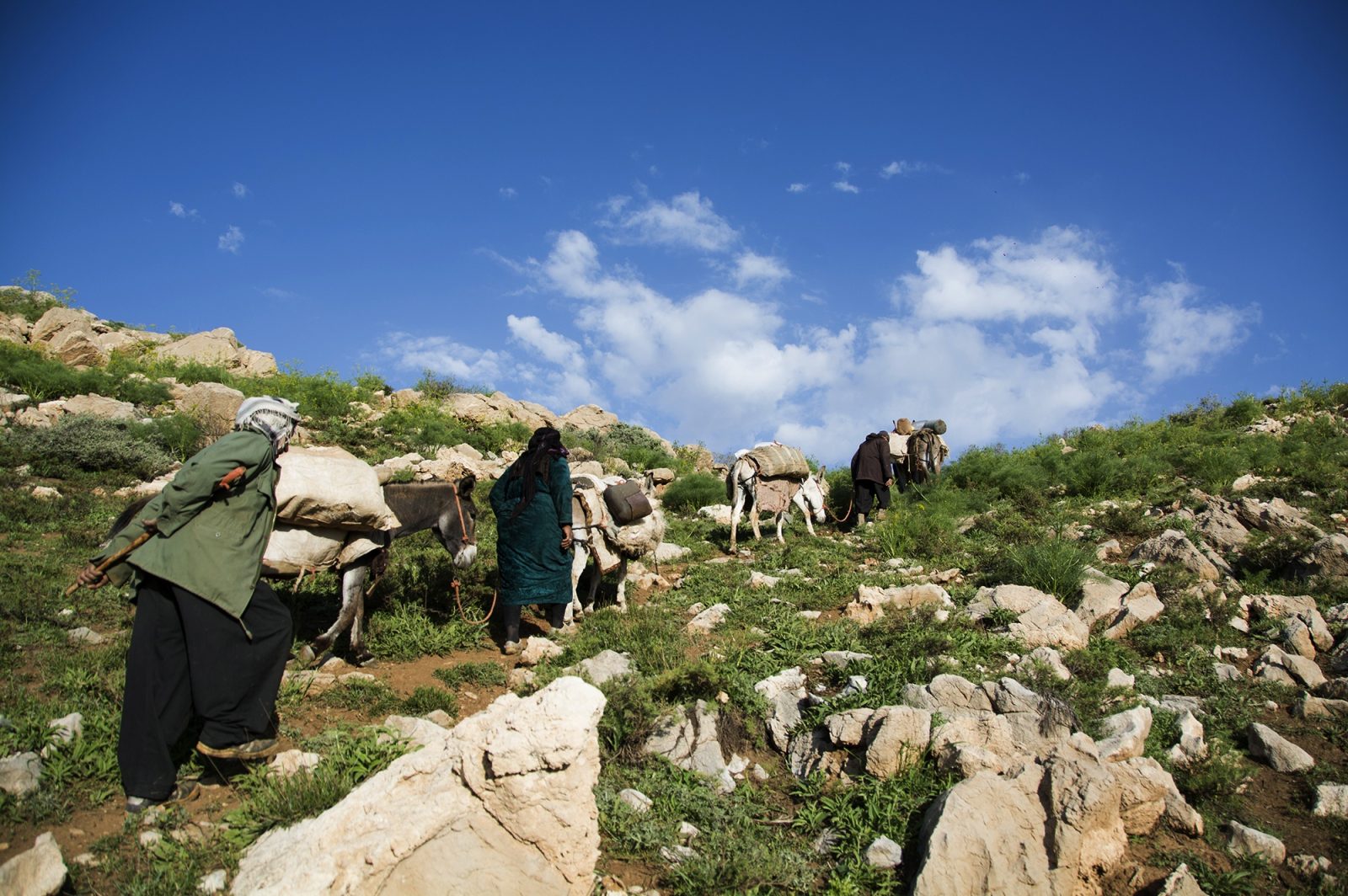 آخرین کوچ/ بهزاد خالوندی